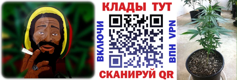 Галлюциногенные грибы Новохопёрск