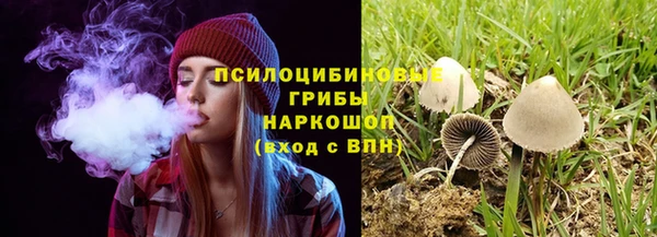 каннабис Богданович