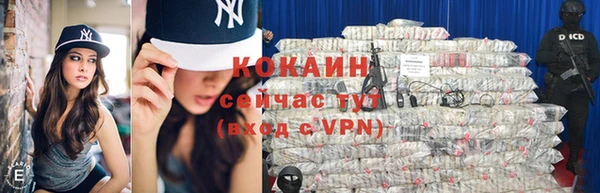 гидропоника Бородино